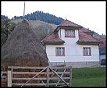 Cazare si Rezervari la Casa POPICA din Moieciu de Sus Brasov